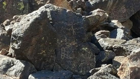 Deer Valley Petroglyph Preserve